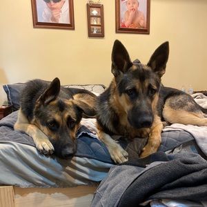 Meet your Posher, Shane